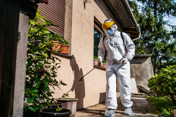 Professional Pest Control in Georgetown, DE