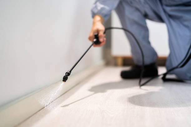 Best Pest Removal Services  in Georgetown, DE